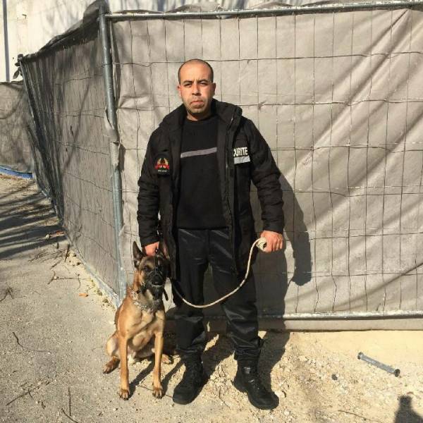 Maitre chien : gardiennage par agent cynophile dans le Var
