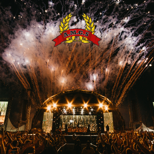 Faire appel à des agents de sécurité événementiels pour mon festival de cet été à Toulon dans le Var