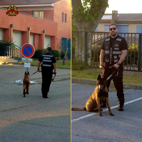 Nos agents cynophiles en action