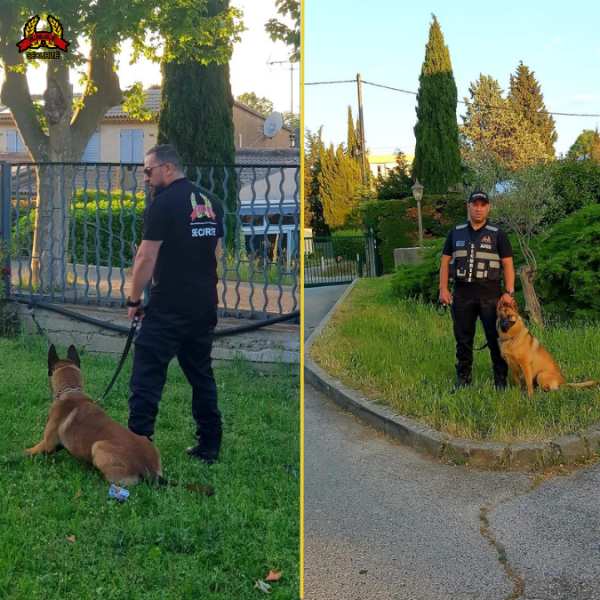 Nos agents cynophiles en action