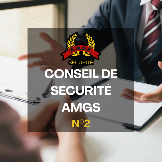 Conseil de sécurité numéro 2