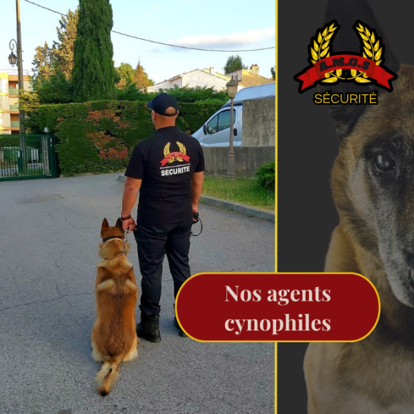Nos agents cynophiles en action