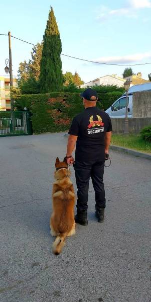 Entreprise sécurité pour agent de sécurité parking St Tropez