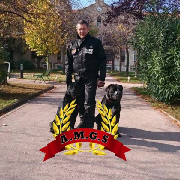 Agent de sécurité cynophile pour surveillance nocturne d'entrepôt à Perpignan