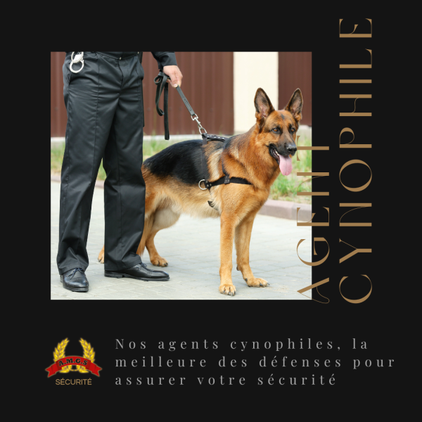 Trouver des agents cynophiles pour la surveillance de son magasins à Marseille dans les Bouches du Rhône