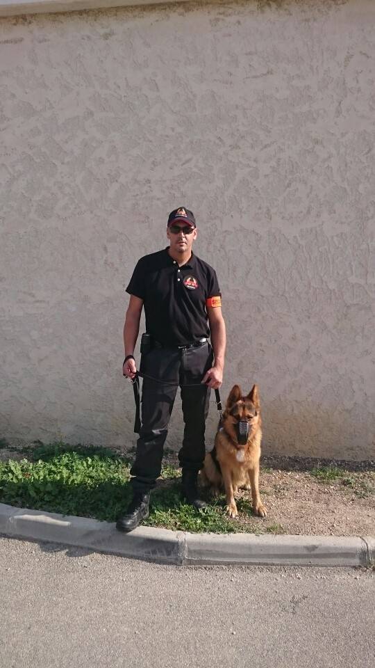 Société de sécurité et gardiennage pour agent cynophile dans le 13