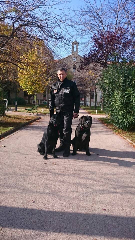 Gardiennage avec maitre chien pour chantier, Alpes Maritimes