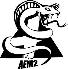 Encadrement sécurité des événements Association des Etudiants en Médecine par AMGS Marseille